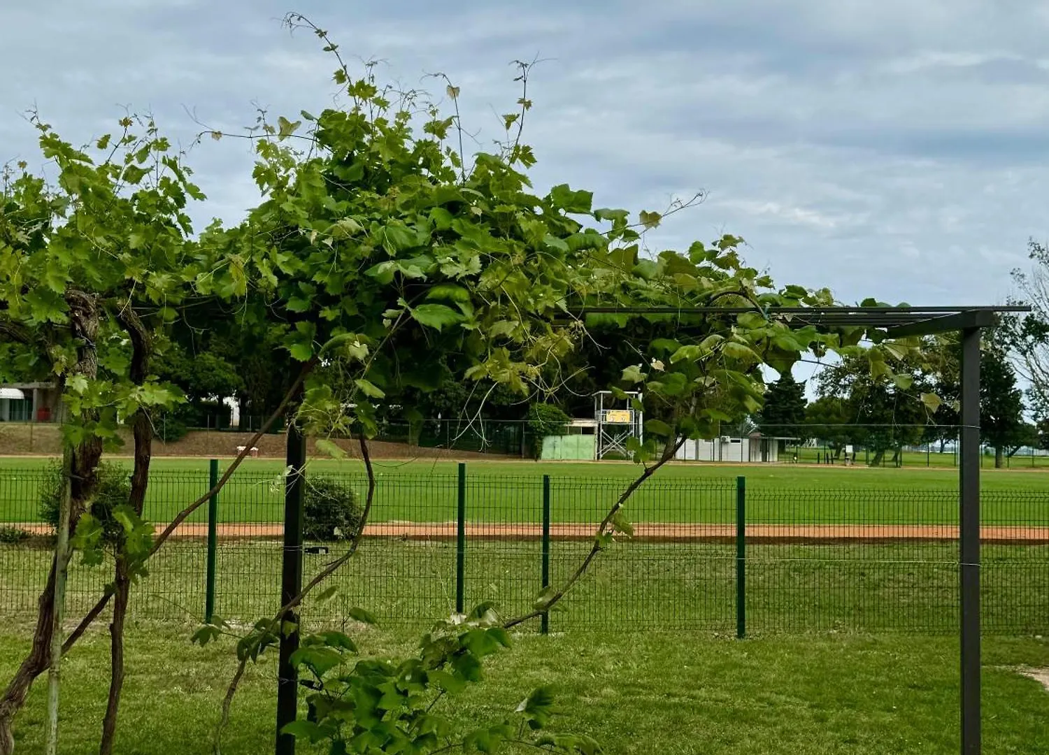Enna Apartment A Meerblick Perfect Location Medulin 0*,